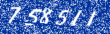 Capcha image